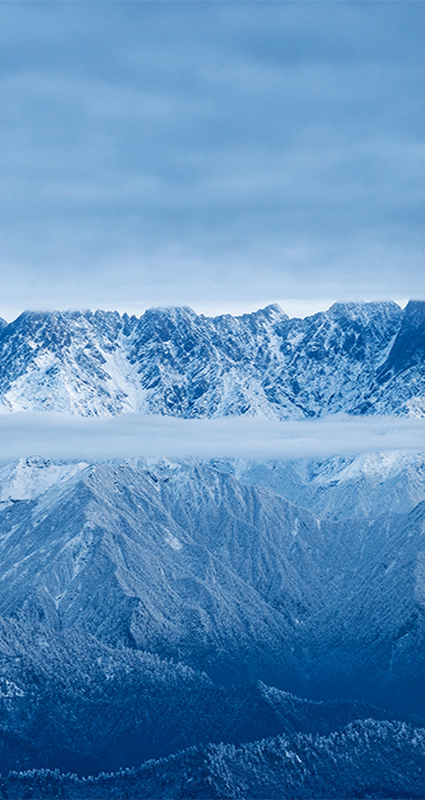 关于z6尊龙旗舰厅